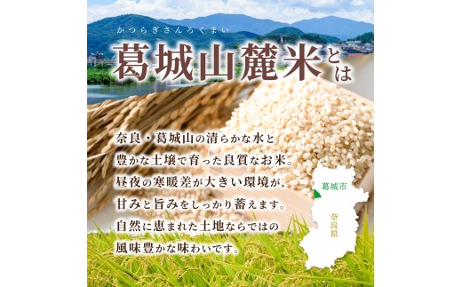 先行予約 ※3ヶ月定期便※ 葛城山麓米 ヒノヒカリ（玄米）10kg ×3ヶ月 令和8年産 【2026年11月・12月・1月発送】／ 奈良 葛城 山麓米 産地直送 米 お米 新米 こめ 国産 甘い 美味