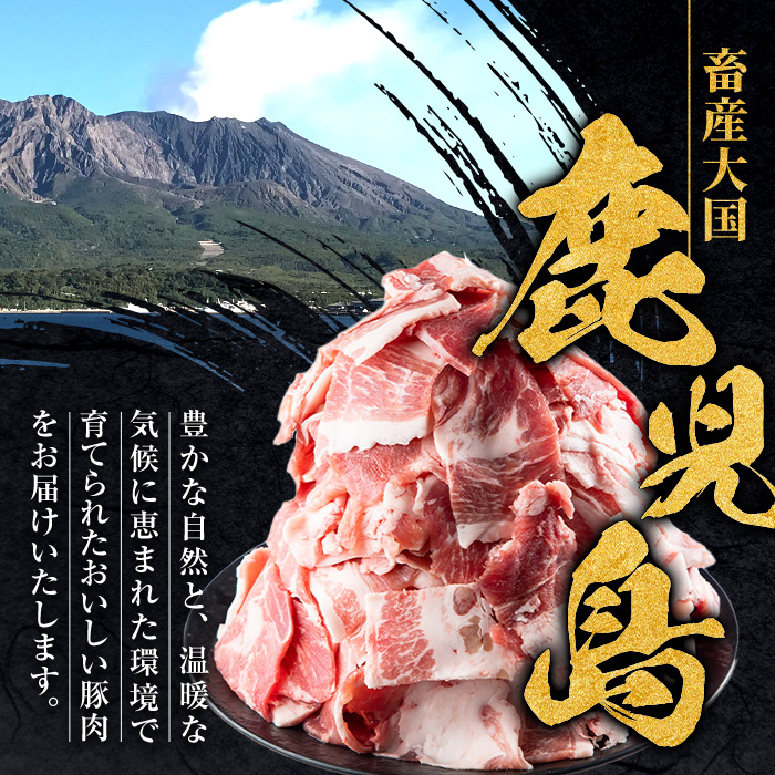 i703-A ＜訳あり＞鹿児島県産豚小間切れ(計2kg・200g×10パック) 豚コマ 豚こま 豚こま切れ 豚肉 鹿児島 こま切れ 小分け 訳アリ 簡易包装 料理 カレー 炒め物 おかず 【まつぼっく