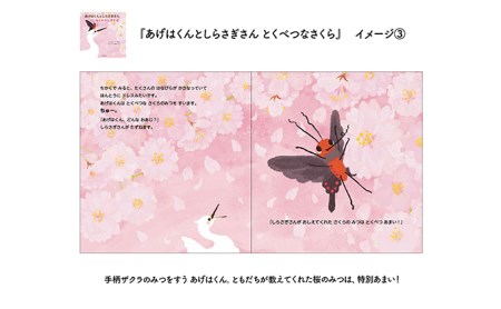 ひめじのご当地絵本＆塗り絵セット/えほん 大人の塗り絵 こども 出産祝い お祝い  誕生日 こどもの日 敬老の日 ぬりえ 子ども 雑貨 子供 読み聞かせ 趣味 児童書 学び 