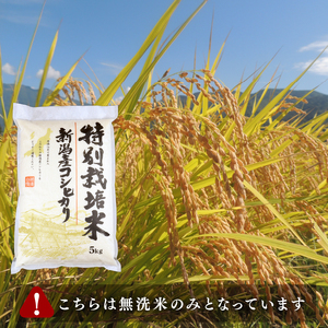 【令和6年産】新潟産コシヒカリ 5kg 無洗米 特別栽培米 新発田産 新潟県産 新潟県産コシヒカリ コメ お米 米 こめ しんまい 新潟産 新潟米 新潟県 新発田 [toushin001]