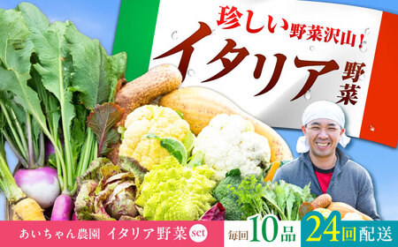 【10品×24回定期便】あいちゃん農園「イタリア野菜」セット（レギュラー） 野菜 やさい[FAA019]