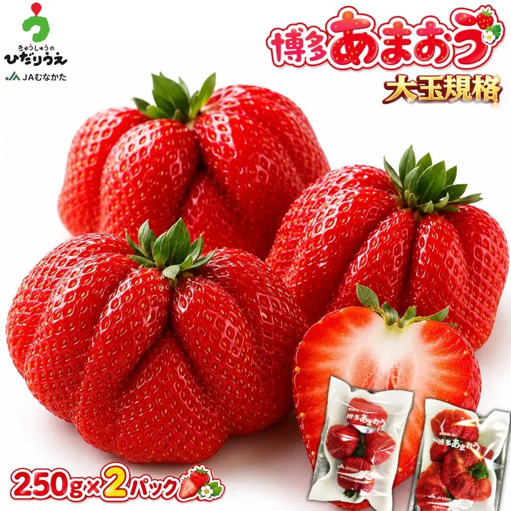 【2027年2月より順次発送】★大玉規格★博多あまおう2パック 約500g[H2224]