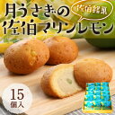 【ふるさと納税】月うさぎの佐伯マリンレモン (計15個) レモン レモンケーキ スイーツ スウィーツ 菓子 焼き菓子 洋菓子 おやつ セット 個装 大分県 佐伯市【ER003】【(株)古川製菓】