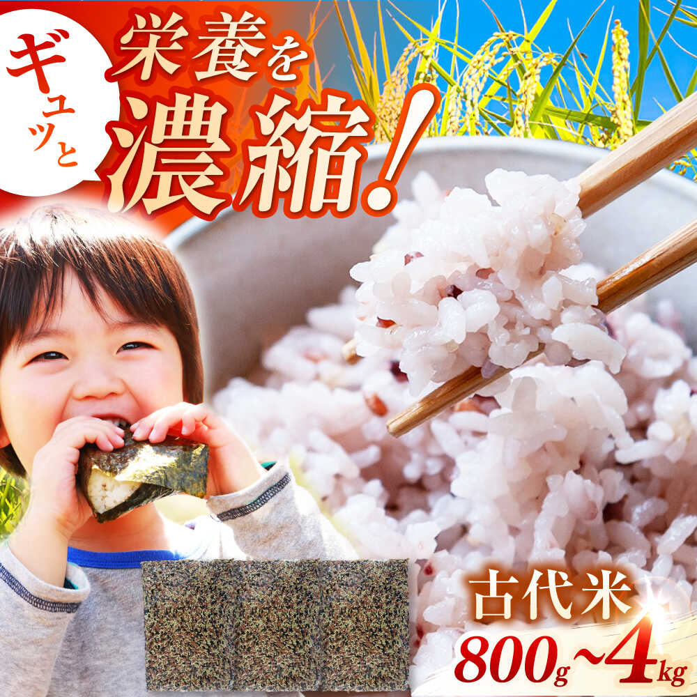 【ふるさと納税】【家計お助け返礼品】佐賀県産古代米3色MIX 800g-4kg / 健康志向 赤米 緑米 黒米 / 佐賀県 / 旬菜舎さと山 [41AABM007]
