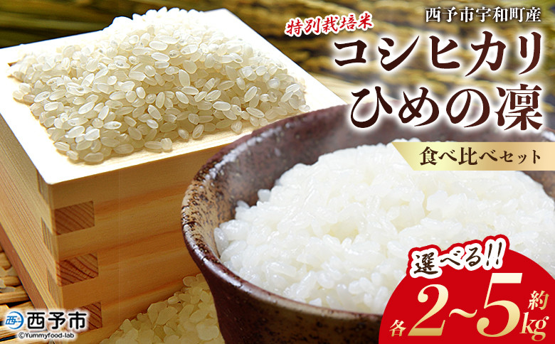 
            新米＜令和7年産 西予市宇和町産 特別栽培米コシヒカリ・ひめの凜 食べ比べセット（各約2kg/5kg）＞ お米 コメ こめ 白米 精米 単一原料米 穀物 こしひかり ひめのりん 朝食 低農薬 特産品 三好フク 愛媛県【常温】『2025年11月中旬より順次出荷予定』
          