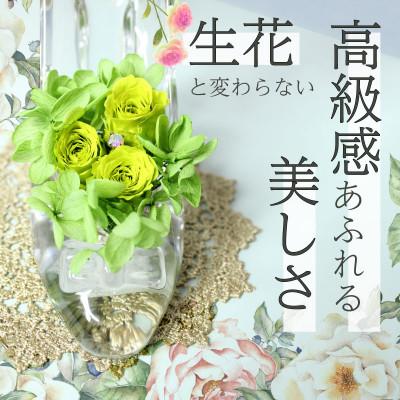 ふるさと納税 美浜町 ガラスの靴のプリザーブドフラワー　カラー:グリーン |  | 01