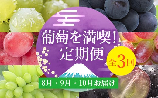 
＜発送月固定定期便＞葡萄好きさん、集まれ～!人気のフルーツぶどうの定期便全3回【4005030】
