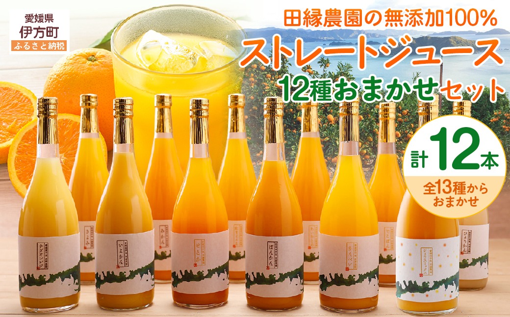【数量限定】【愛媛県産】田縁農園の無添加100% ストレートジュース12種おまかせセット 720ml 全12種 IKTA013