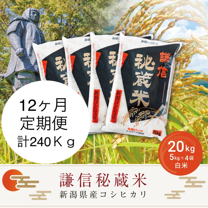 令和7年産 定期便12ヶ月連続発送（20kg×12回分）20kg 米 新潟県産 コシヒカリ  精白米 謙信秘蔵米  お米  こめ コメ おこめ おすすめ こしひかり 新潟 にいがた 新潟米 上越 上越産 上越米 ふるさと納税 定期便 上杉謙信 人気