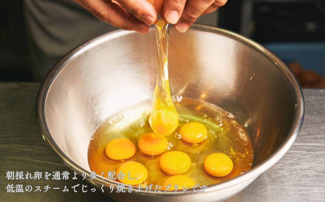 Big プリン 【1個約900g】| バケツに入った大きなプリン 特大プリン プリン ビッグプリン