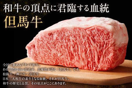 但馬牛 厚切り サーロインステーキ 2枚（300g×2枚入り）合計600g 牛肉 ステーキ  73-07