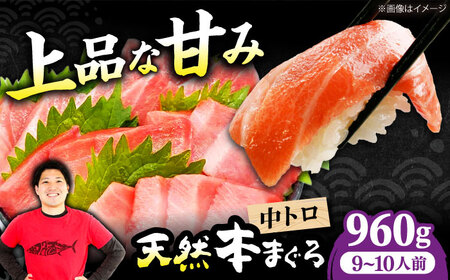 たね熟天然本まぐろ中トロ(960g)[AOCE011]まぐろ まぐろ まぐろ まぐろ まぐろ まぐろ