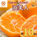 【ふるさと納税】JAにしうわの季節の柑橘(八幡浜共選「浜美人」約10kg)【F08-43】【1443334】