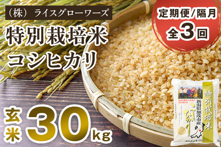 【令和8年産新米先行予約】【定期便3回隔月お届け】新潟県 加茂市産 特別栽培米コシヒカリ 玄米30kg（5kg×6）《10月上旬～順次出荷》 加茂有機米生産組合