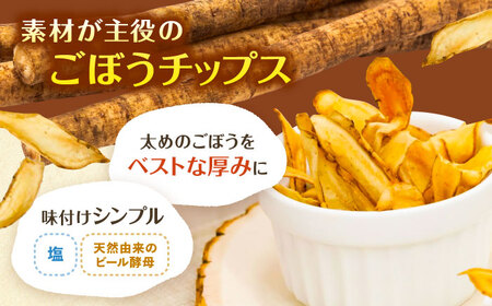 ごぼうチップス 30g×5袋 野菜 チップス スナック 菓子 愛西市 / 清水食品株式会社[AEAJ006]