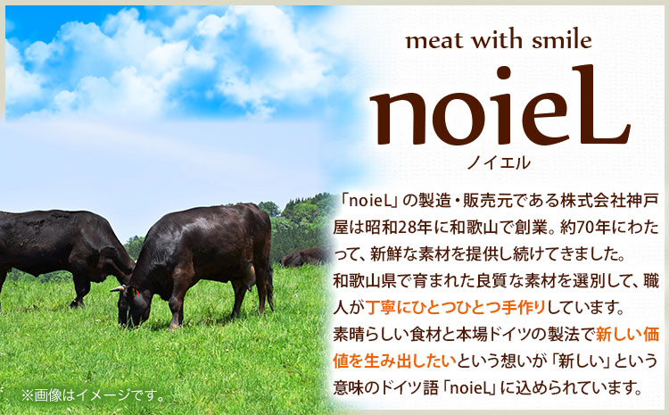 贅沢グルメを味わえる熊野牛「生」ハンバーグ10個セット神戸屋《90日以内に出荷予定(土日祝除く)》牛うしハンバーグ生ハンバーグ惣菜---wsh_fswknhb_90d_22_25000_10p---