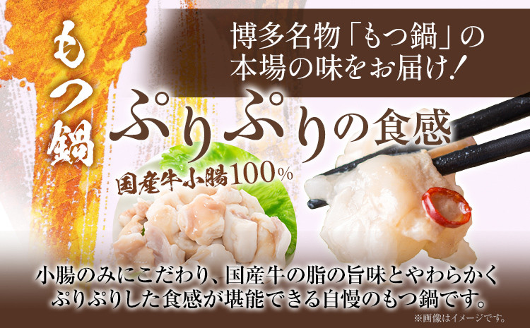 国産 牛 もつ鍋 セット 2～3人前 国産牛 小腸 カット 400g 唐辛子 和風だし 鍋 家飲み 冷凍 化粧箱 送料無料