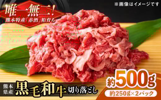 熊本県産 『原田畜産』 黒毛和牛 切り落とし 計約500g（約250g×2パック） 牛肉 牛 【有限会社 九州食肉産業】 黒毛 和牛 国産 牛丼 スタミナ丼 プルコギ丼 肉炒め ハヤシライス カレー 野菜炒め 肉 熊本県 熊本 合志 合志市  [AYCN126]