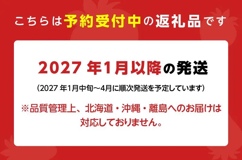 【2027年1月から順次発送】福岡県産 羽衣農園の完熟あまおう 約1kg（約250g×4パック） _ 福岡県産 完熟 あまおう 約250g × 4パック 計 約1kg こだわり いちご 福岡県 ブラン