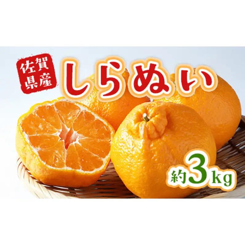 不知火 しらぬい 柑橘 不知火【約3kg】
