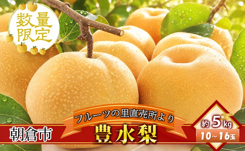 フルーツの里の直売所より 豊水梨 5kg ナシ 果物 先行予約 