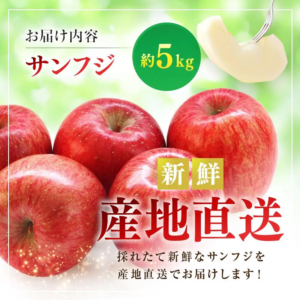 サンふじ5kg | りんご フルーツ 果物 りんご