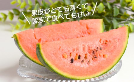 和歌山産小玉すいか ひとりじめ7(2～3玉)