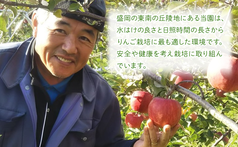 先行予約≪2025年12月初旬～発送≫盛岡ブランド認証『サンふじ』約3kg(家庭用)10玉前後 果物類 林檎 りんご リンゴ