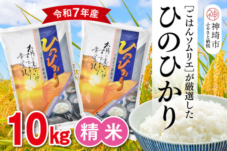 【令和7年産】ごはんソムリエが厳選 白米 ひのひかり 10kg(H063156)