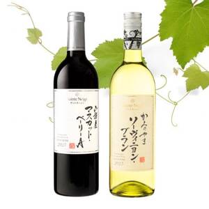 サントネージュが贈るマスカット・ベーリーA/ソーヴィニヨン・ブラン赤白 計2本セット【1613314】
