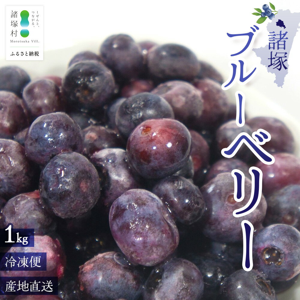 【ふるさと納税】【数量限定】諸塚村産 冷凍ブルーベリー 約1kg｜ブルーベリー 果物 フルーツ 産地直送 スムージー ヨーグルト もろっこはうす 宮崎県 諸塚村 MO-34