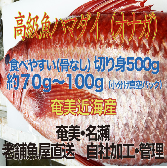 
                  高級魚「ハマダイ（オナガ）」切り身 500g（甘塩）奄美大島老舗鮮魚店が加工製造　A128-004
                