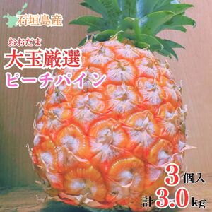 石垣島産・大玉ピーチパイン ３玉 約3.0kg【 沖縄県石垣市 石垣島 フルーツ 果物 パイン パインアップル パイナップル 産地直送 】SI-37