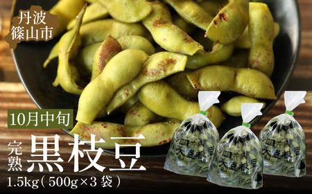 【早期予約/2026年10月中旬発送】令和8年産 丹波ふるさと村　丹波黒枝豆500g×3(枝なし) 大粒 黒枝豆 丹波篠山産  Q010 