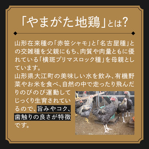 あてらZAWAカレー（やまがた地鶏手羽元1本入り） 4袋 017-001