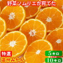 【ふるさと納税】温州みかん 特選 5kg〜10kg ミカン みかん 柑橘 5kg 10kg 柑橘類 先行予約 11月 12月 1月 甘い 温州みかん フルーツ 果物 野菜ソムリエ石児さん 豊予農場 ＜103-701＞