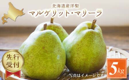 【2025年9月中旬発送分先行予約】洋梨（マルゲリット・マリーラ）5kg_Y010-0351