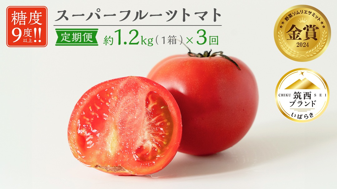 【 先行予約 】【 3ヶ月 定期便 】 スーパーフルーツトマト 中箱 約1.2kg × 1箱 【大玉 12～15玉/1箱】 糖度9度 以上 トマト とまと フルーツトマト フルーツ 野菜 やさい 高糖度 [AF043ci]