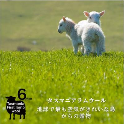 ふるさと納税 和泉市 やわらかラムウール混 北欧調クッション 45×45cm グリーン(SH-35924-GR) |  | 03
