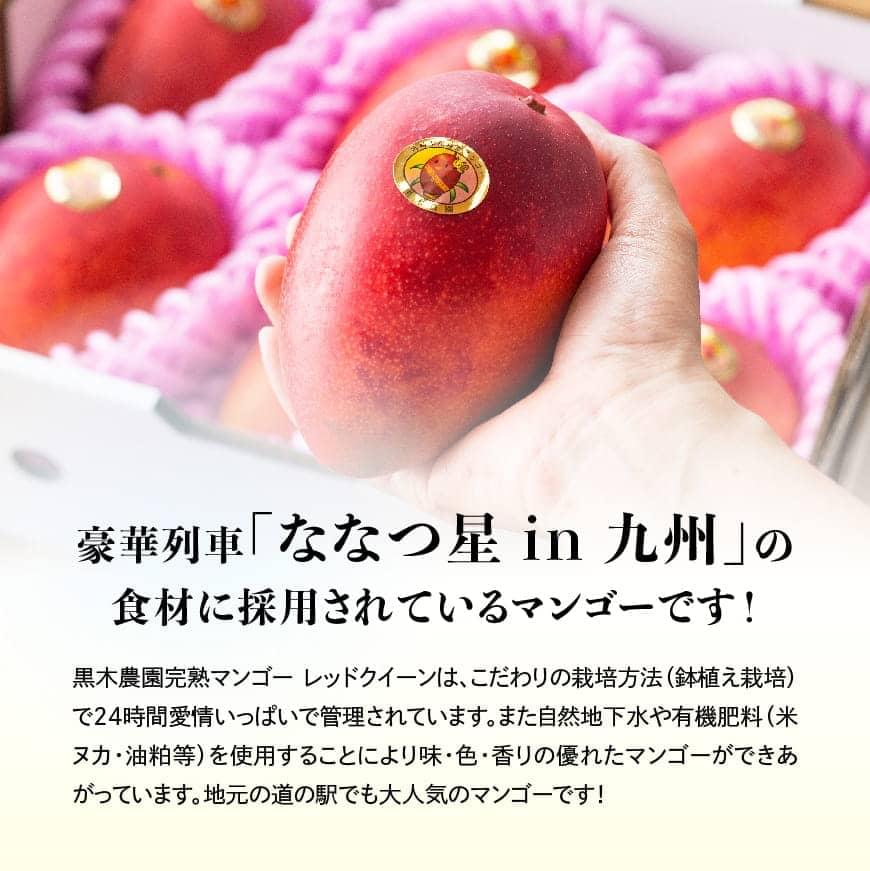 【令和7年発送】宮崎県産完熟マンゴー「レッドクイーン」L×2玉 【 果物 フルーツ マンゴー 宮崎県産 完熟マンゴー みやざきマンゴー 先行予約 数量限定 期間限定 】