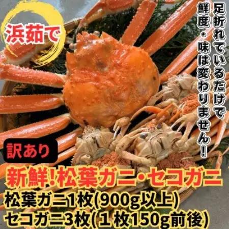 【さかなや新鮮組】鳥取県産 訳あり 浜茹で松葉ガニ1枚(900g以上)・セコガニ3枚セット 漁港直送【配送不可地域：離島・北海道・沖縄県・東北・信越、北陸】【1759711】