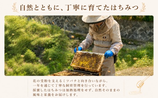 【国産はちみつ】はちみつ（もち） 420g 瓶詰め / 無添加 非加熱 国産 天然 純粋 非加熱 無調整 もち 甘い 濃厚 常温 風邪予防 純粋はちみつ 純粋はちみつ 天然はちみつ 天然蜂蜜 はちみつ