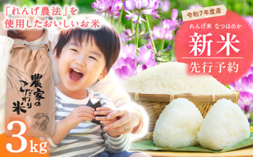 【先行予約】令和7年度新米 れんげ米 なつほのか 3kg【ふきの陶】 [NF18]