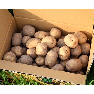 佐藤農場のじゃがいも「男爵」10kg【配送不可地域：離島・沖縄県】