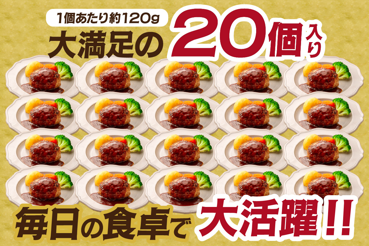 佐賀牛入り 熟成 ハンバーグ 約120g×20個 179-J1885