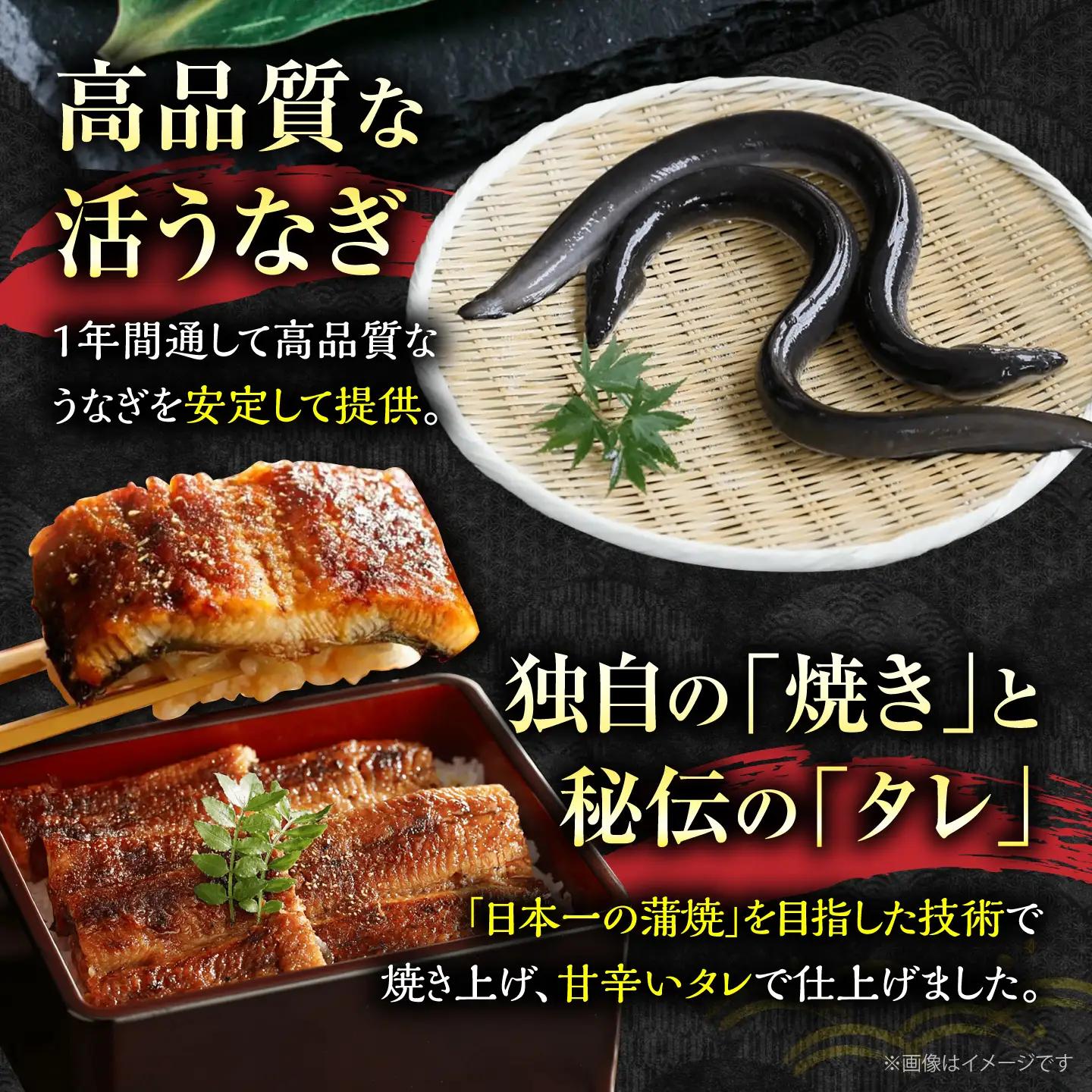 【全2回定期便】福岡県産 うなぎ 蒲焼 大2尾 VAD034 うなぎ