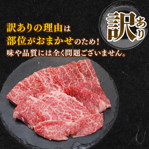 訳あり 知多牛 焼肉セット 600g (600g×1) 冷凍 部位おまかせ 知多牛響 有限会社寿屋精肉店