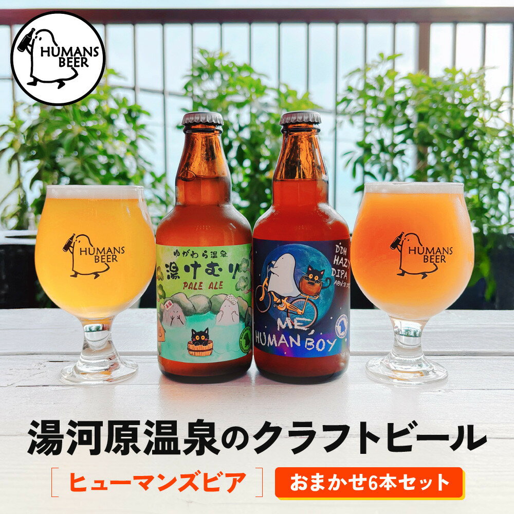【ふるさと納税】湯河原温泉のクラフトビール【ヒューマンズビア】おまかせ6本セット | 湯河原町 湯河原温泉 クラフトビール おまかせセット 醸造所
