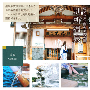 旅行 長野 信州 別所温泉 宿泊 補助券 2枚セット 6,000円 温泉 旅館 旅行券 宿泊券 施設利用券 利用券 トラベル チケット ホテル券 ホテルクーポン ホテル 長野県