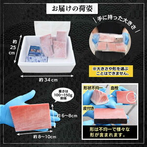 a15-619　マグロ 中トロ 訳あり 刺身 冷凍 炙り 寿司 丼 ぶつ切り まぐろ専門店 天然 本まぐろ中トロ 1kg